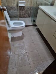 Regent Heights (D23), Condominium #609223041